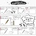 Zebra Comic Pen Nib- Type Professional - G Model - Titanium - Pack of 10 (PG-7B-C-K)
