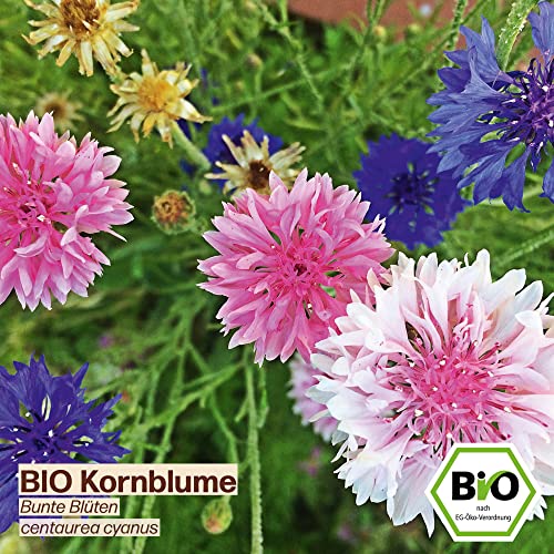 Samenliebe BIO essbare Blüten Samen Set mit 6 samenfesten Blumensamen Sorten für Garten Freiland und Balkon essbare Blüten BIO Blumen Saatgut - Image 6