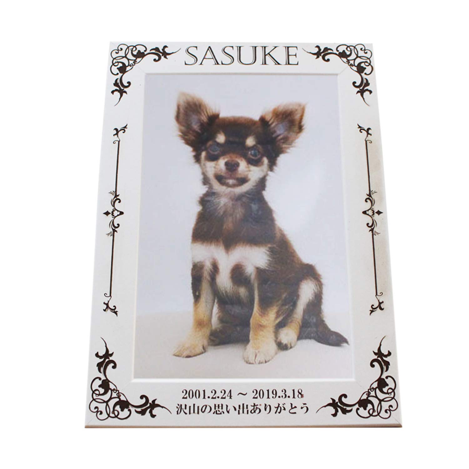 Amazon.co.jp: 写真立て ペット用 メモリアルフォトフレーム