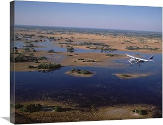 22 x 28 in. Flight Safari, Okavango Delta, Botswana Art Print - Konrad Wothe