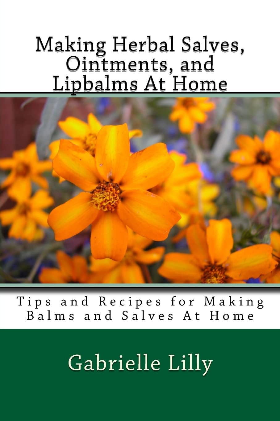 Making Herbal Salves, Ointments, and Lipbalms At Home: Tips and Recipes for Making Balms and Salves At Home: Volume 2 (Practical Healing At Home)