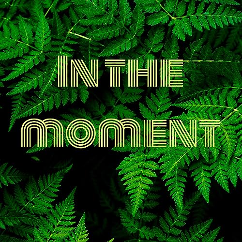 In the moment cover art