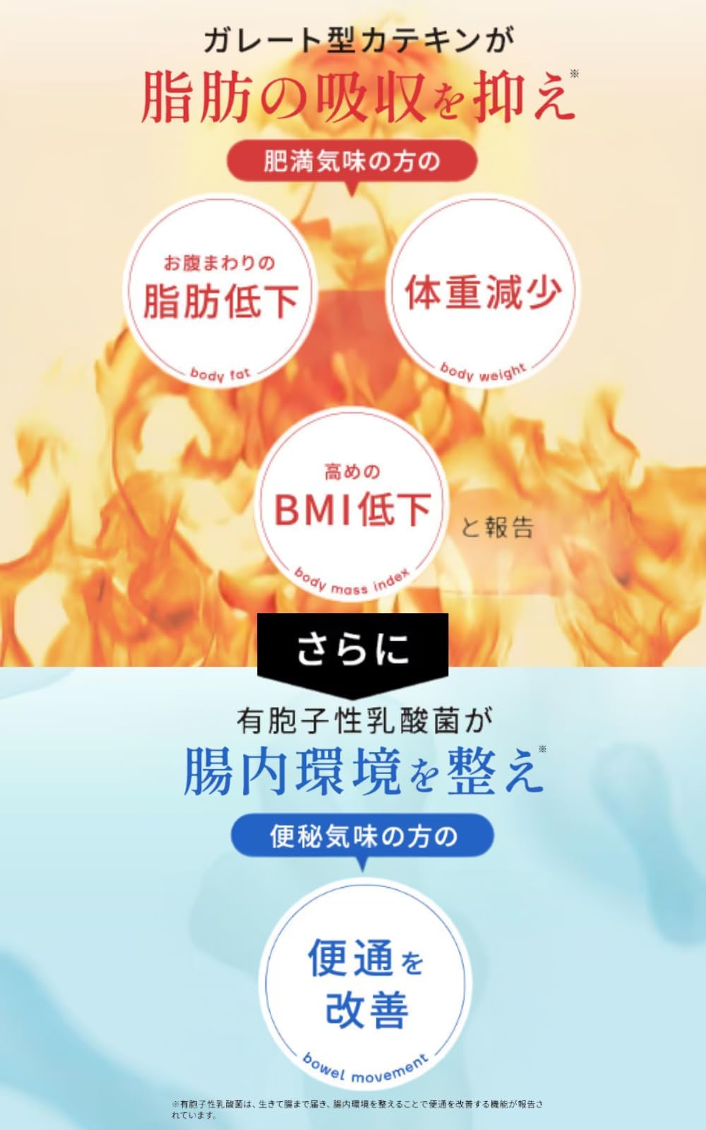 Amazon | 【医師x薬剤師監修】 カテキン緑茶のチカラW 粉末茶