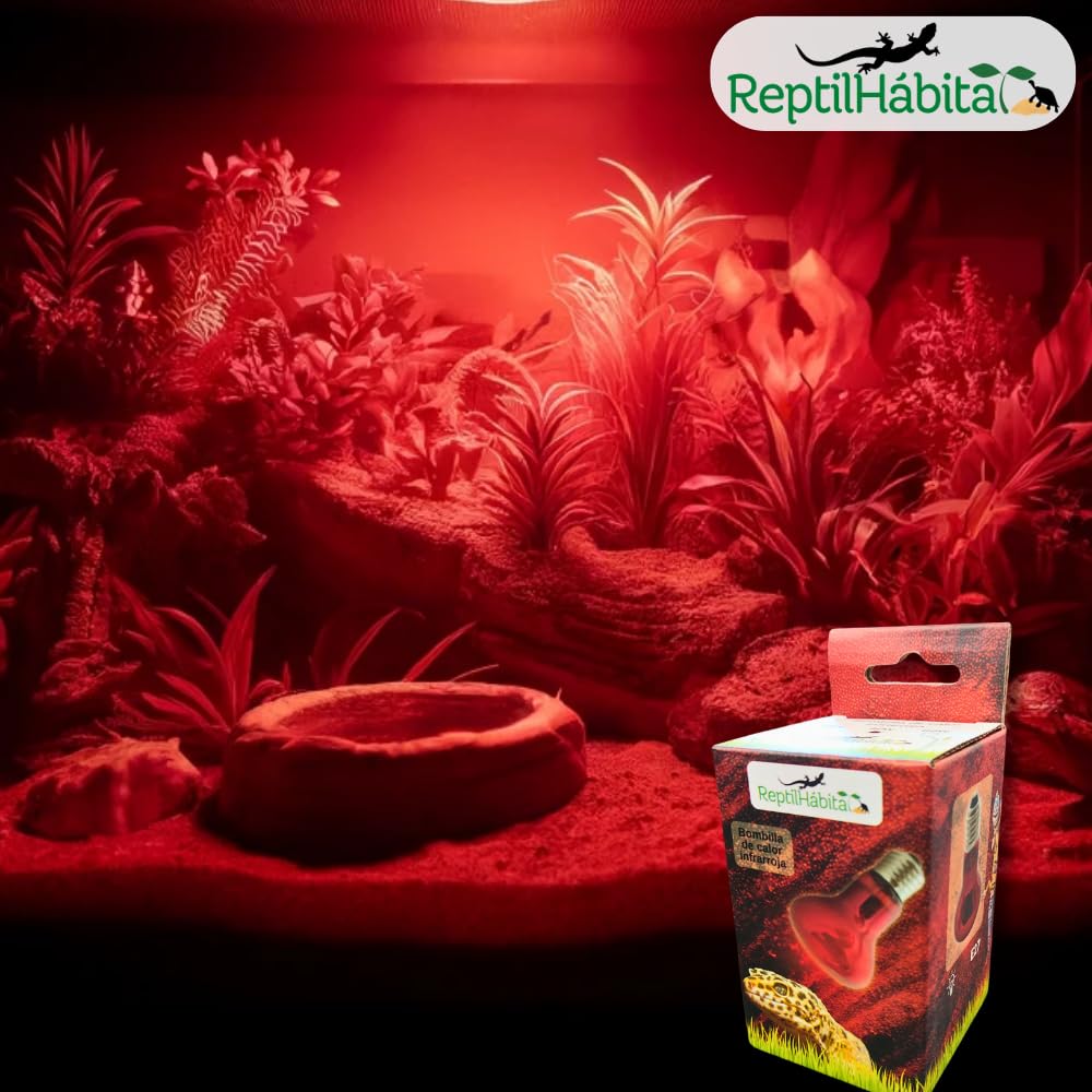Pack 2× 25w Bombilla Infrarroja ReptilHábita – Calor para reptiles 24h – Terrarios, serpientes, tortugas, pogonas – Luz roja suave – Rosca E27 – (25W) — view 8