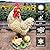 Teaeeno Real Rooster Yard Decor, Chicken Yard Decorations Outdoor,Garden Rooster Decor for Outside,Lawn Statues Decorative Ornaments for Home Patio Backyard Landscape, Ornament for Women/Gardening