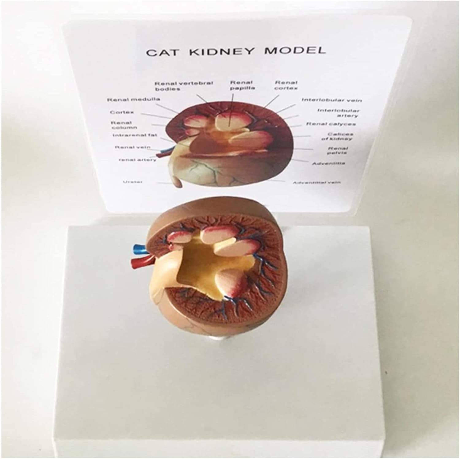 細野真宏の不等式の証明と最大最小問題が面白いほどわかる本 絶版 希少