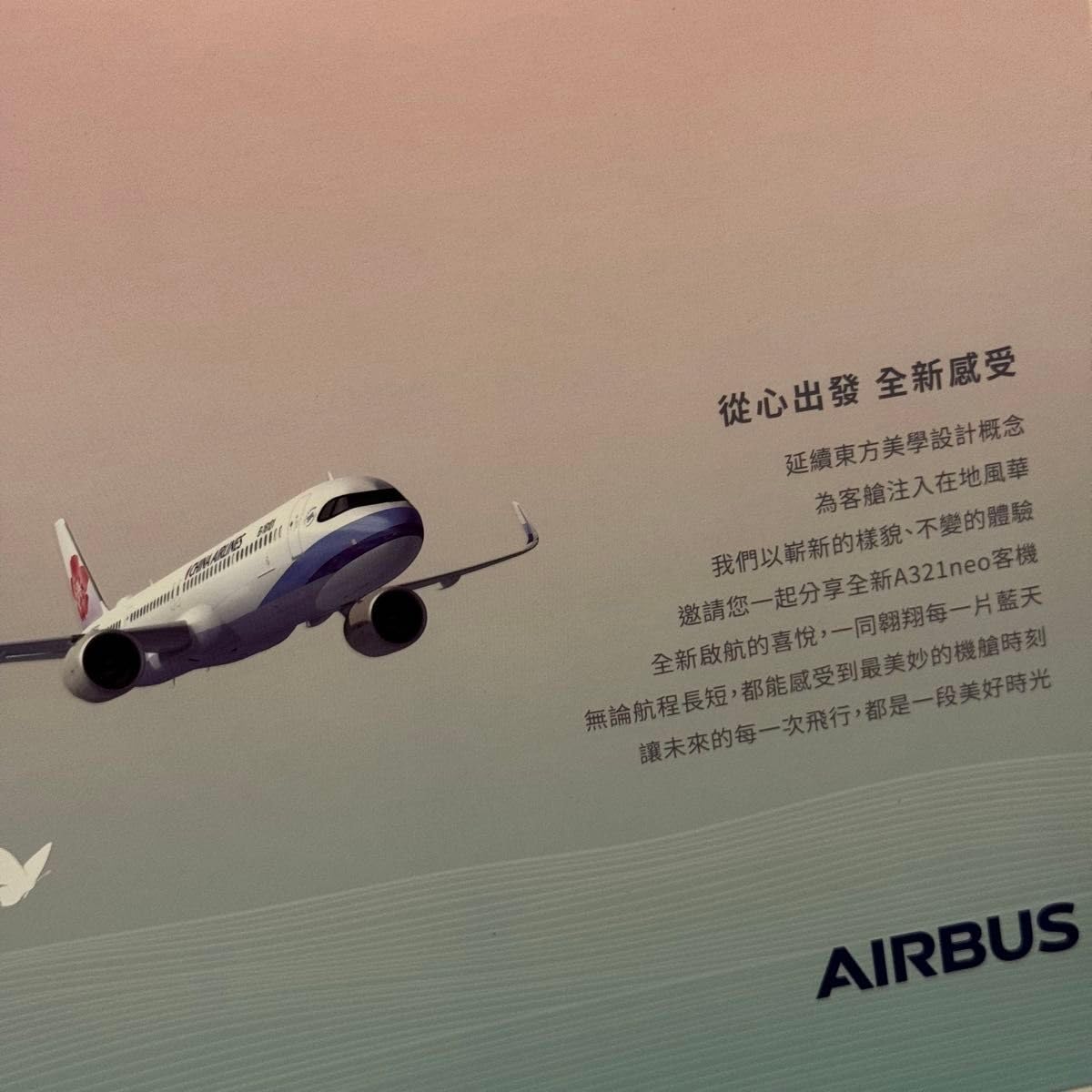Amazon.co.jp: チャイナエアライン 中華航空 A321 neo : おもちゃ