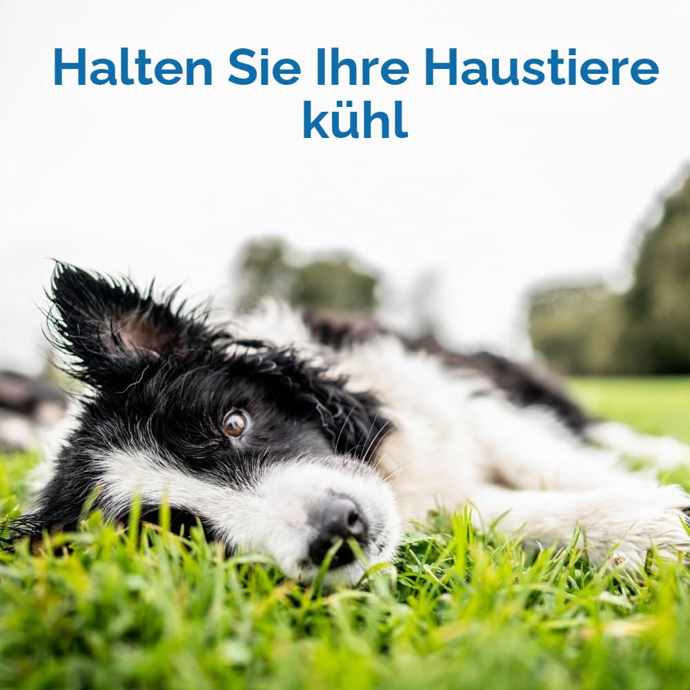 TheGreenPetShop Hunde-Kühlmatte, extra groß – druckaktivierte Haustier-Kühlmatte für Hunde und Katzen, für XL-Haustiere (80 Plus Lb) – ungiftiges Gel-Hunde-Kühlkissen, kein Wasser erforderlich –