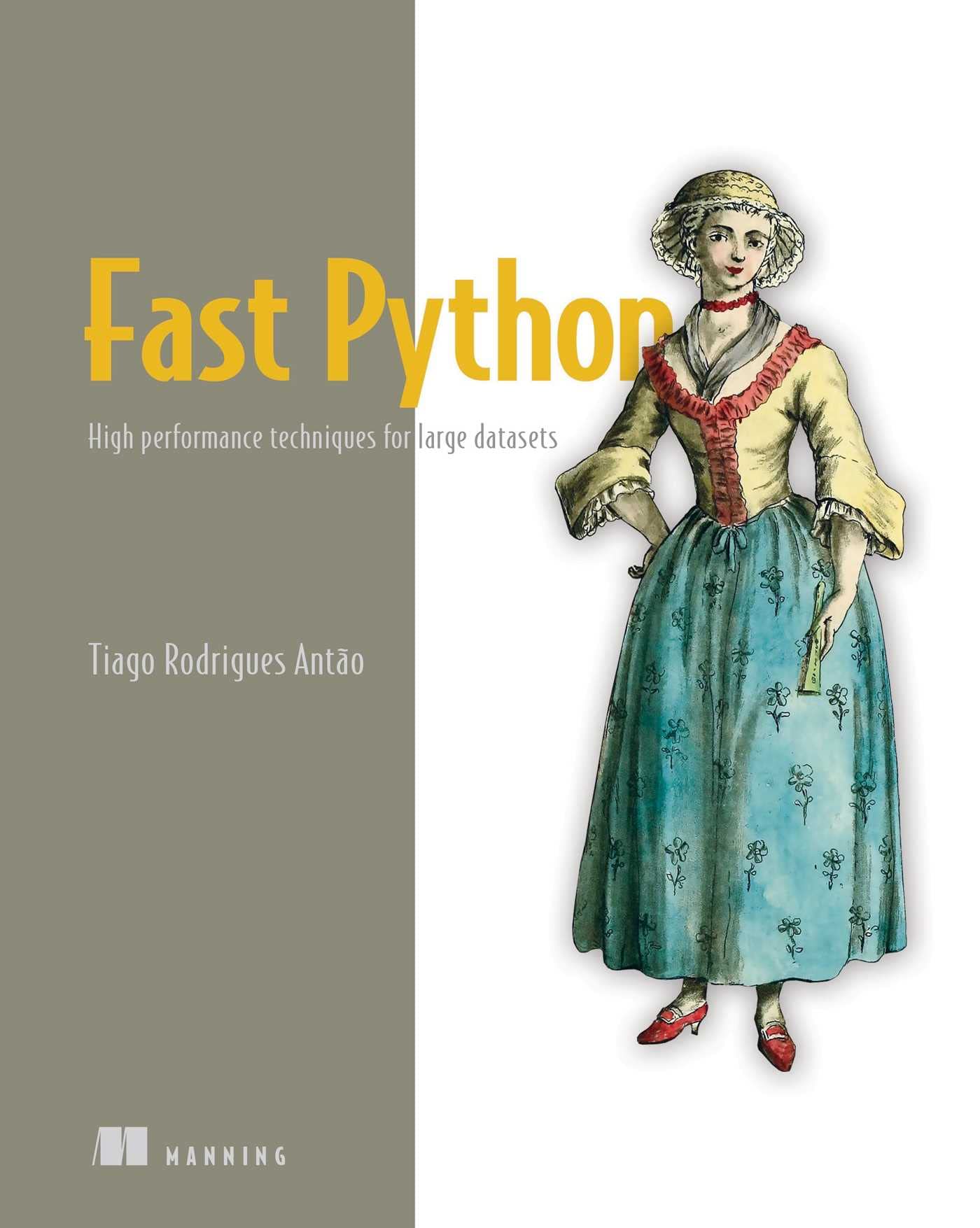 Fast Python: High performance techniques for large datasets