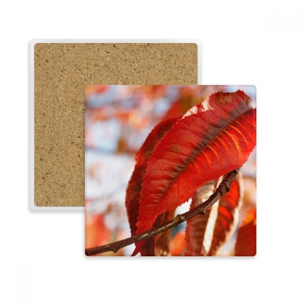 Porte de pierre feuille d érable rouge une idée cadeau déco pour la maison