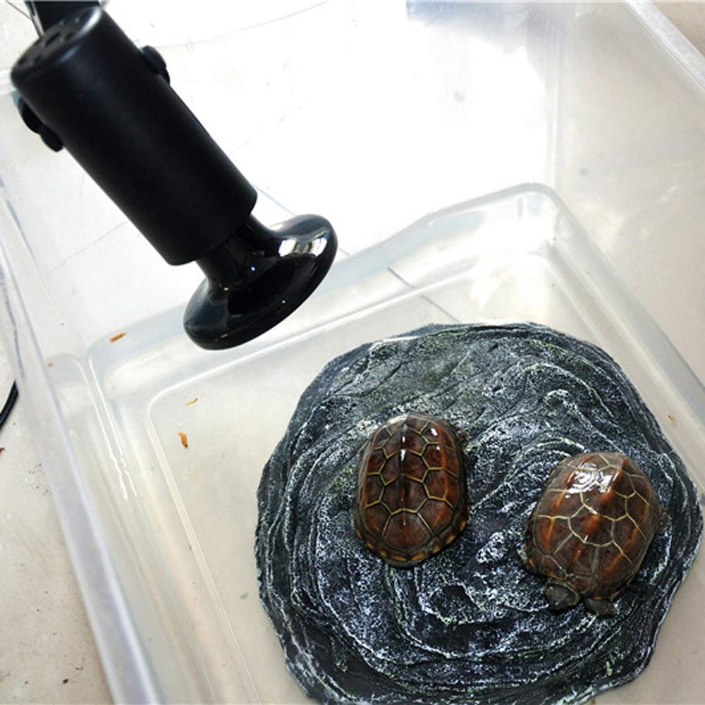 heat bulb for tortoise