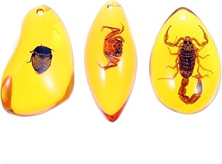 ULTNICE 3pcs Amber Insect Specimens Pendants Amber Fossil Insect Artificial Amber Insect Specimen Pendant Scorpions Insects Amber Stone Ornament for Necklace