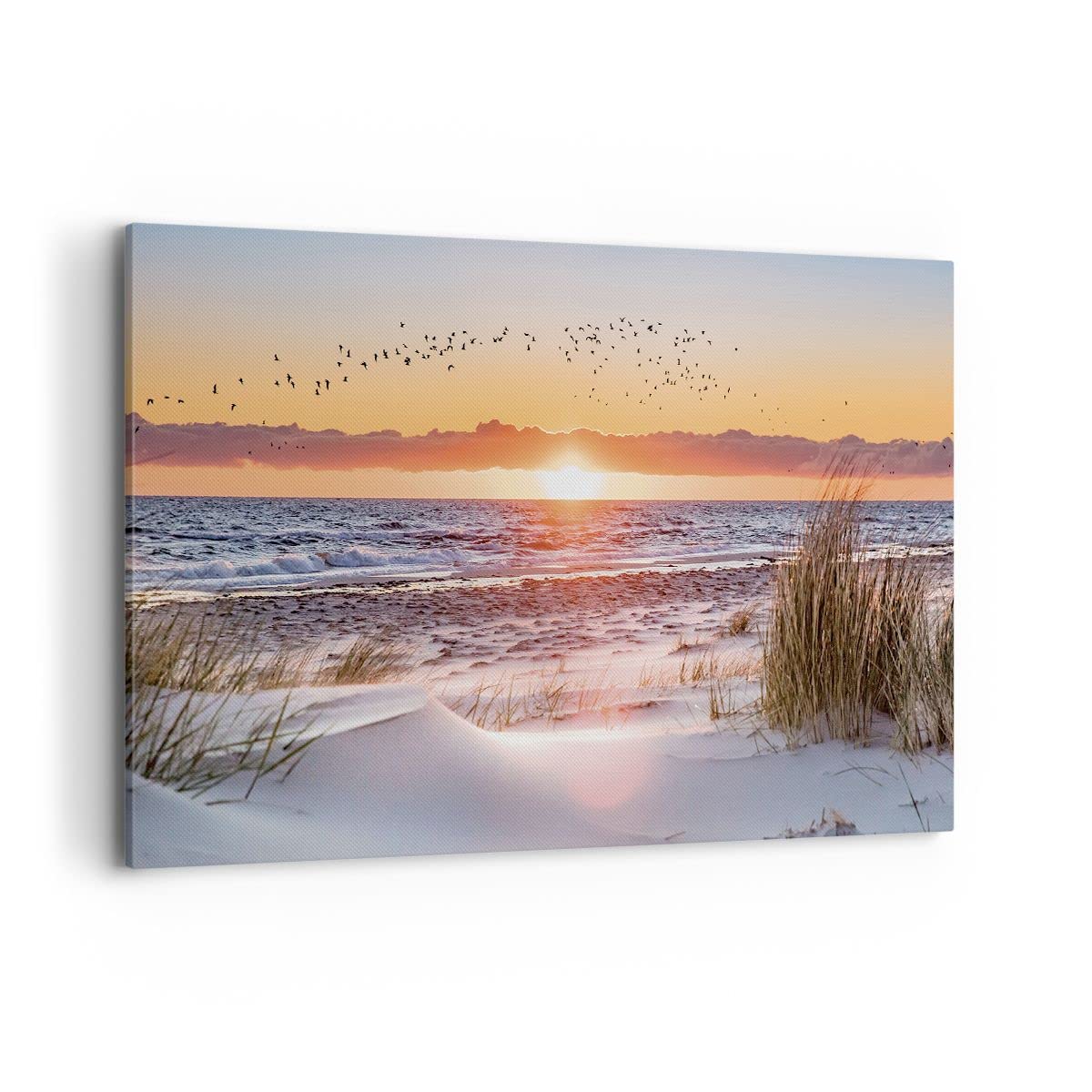 Tableau Mural Océan Oiseau De Mer, Impression Encadrée, Décoration Plage, Couleur Sarcelle