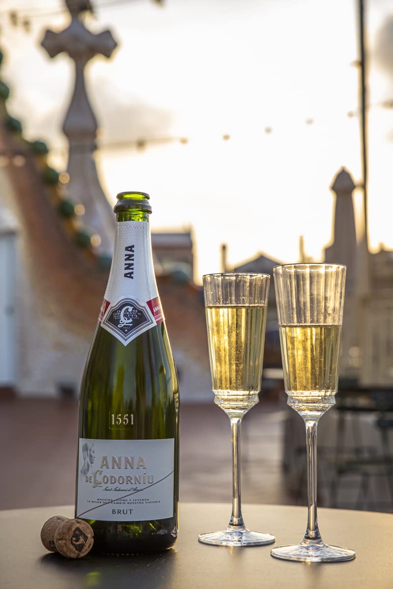 Anna de Codorníu Cava Brut - Estuche Regalo Celebrémonos Más, 75cl