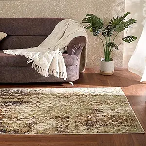 Welspun Wonder-Full Polyster Carpet, Machine Washable Rug Indoor Floor Rug Carpet for Bedroom Under Dining Table Home Office House Decor - Anti Skid Carpet (Rust - 4 X 6 Feet)