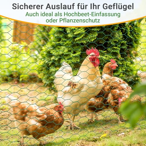Daromigo Sechseckgeflecht Maschendrahtzaun - Verzinkt Kaninchendraht, Drahtzaun, Hasendraht - Sechseck Drahtgitter Maschenweite 27 mm, Höhe 50 cm, Länge 25 m - Grün