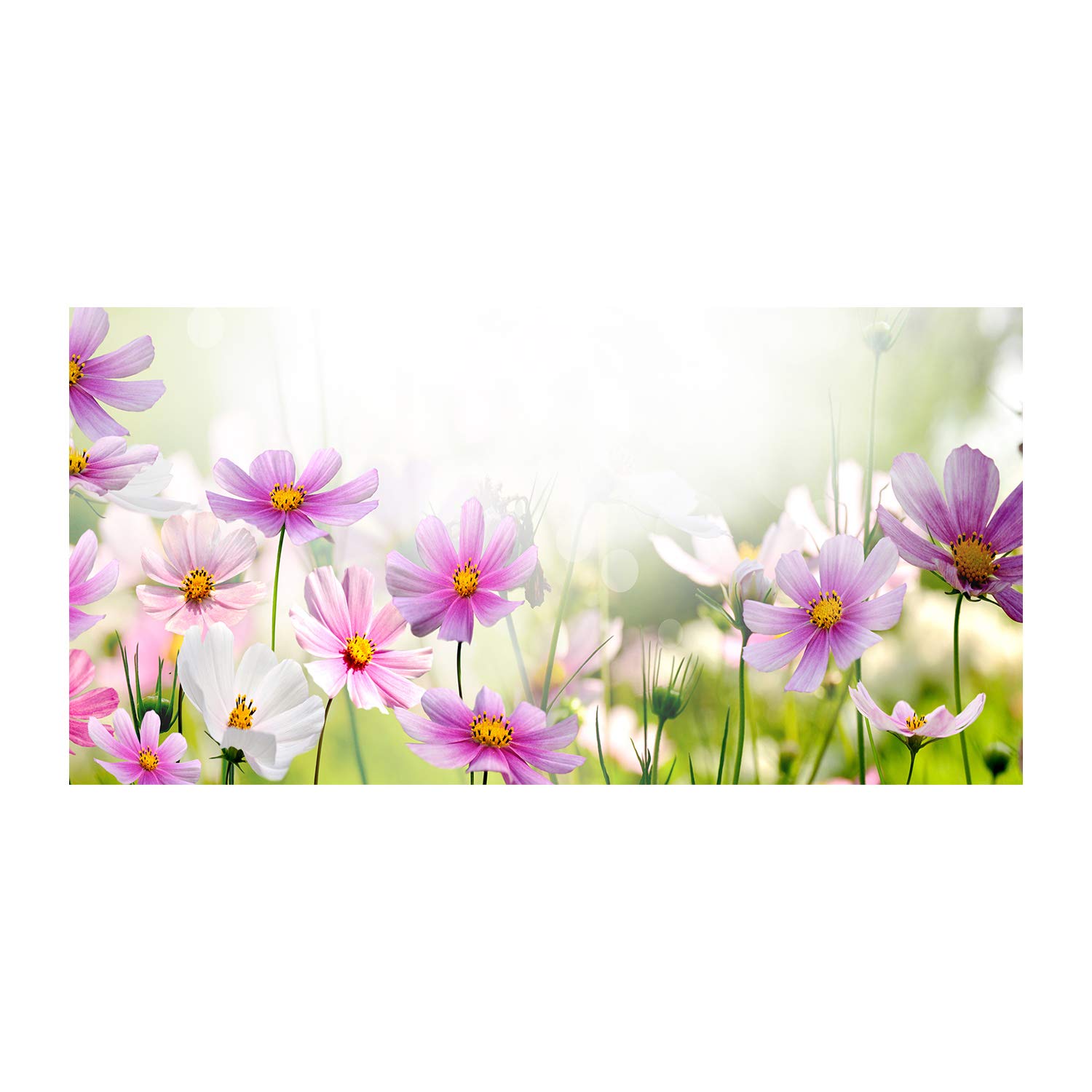 Image en verre plastique Tulup tableau acrylique mural fleurs de prairie décoration 120x60