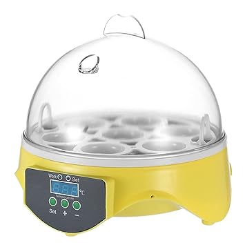 Haibing 7 Eggs Mini Digital Egg Incubator Hatcher Transparent Eggs Hatching Machine Automatic Temperature Control for Chicken Duck Bird Eggs AC220V