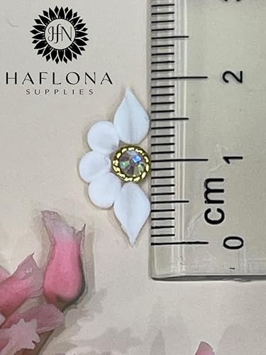 Miniatura 8 de Set 10Pcs 3D Sweet Season Poinettia (5 Petals) Flower Nail Art Charms Handmade by Acrylic Powder Design Acrylic Nail Art for Women Girls (Black