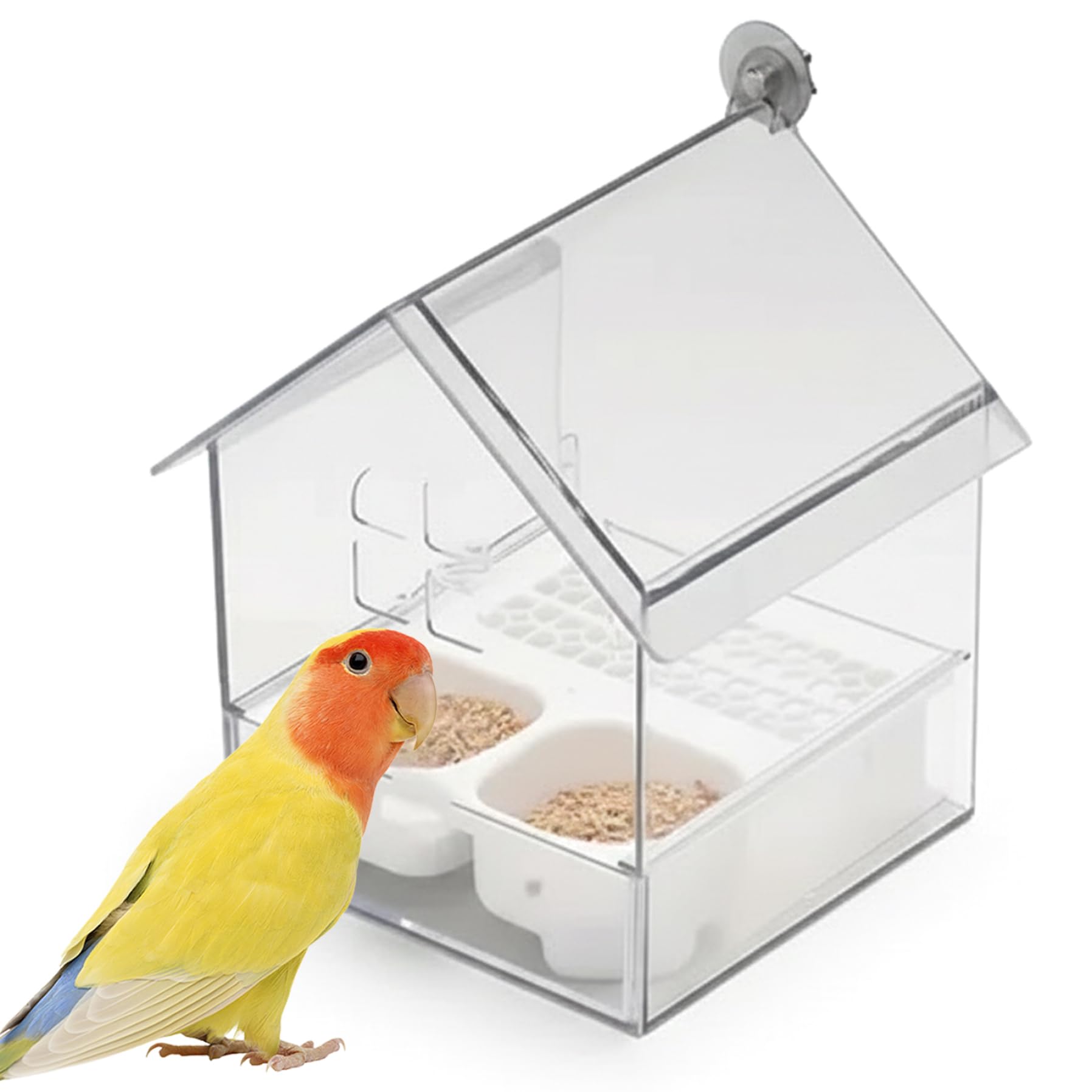 Mangeoire à oiseaux et bain de cage amovible transparent pour perruche