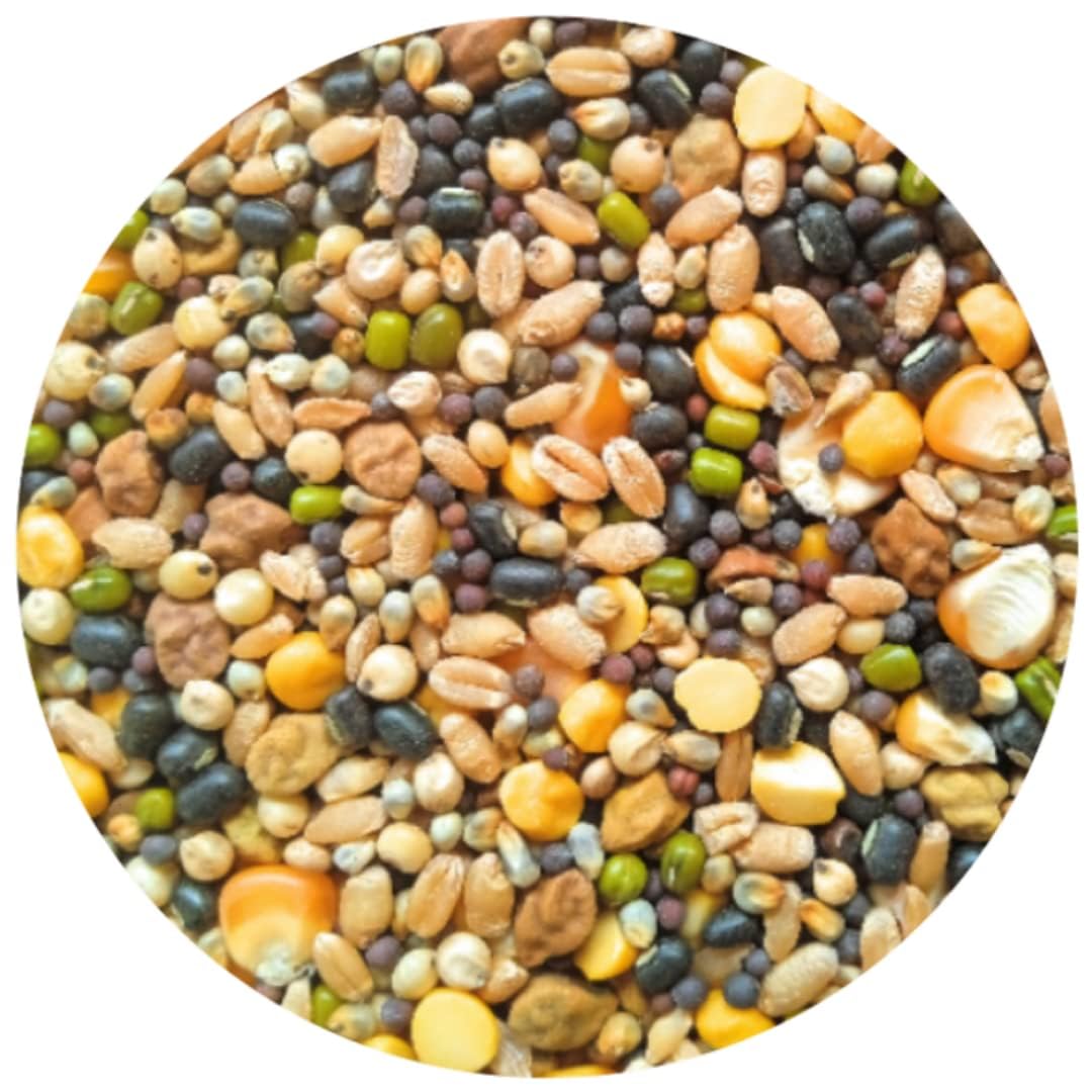 The Hungry Treats - 1KG Mixture of 9+ Grains, Millets and Pulses with Sorghum Seed, Pearl Millet, Wheat, Kangani & More - Ideal for All Birds by Abjinder and Daughters (B0CX4RCQZL) Amazon Price History, Amazon Price Tracker