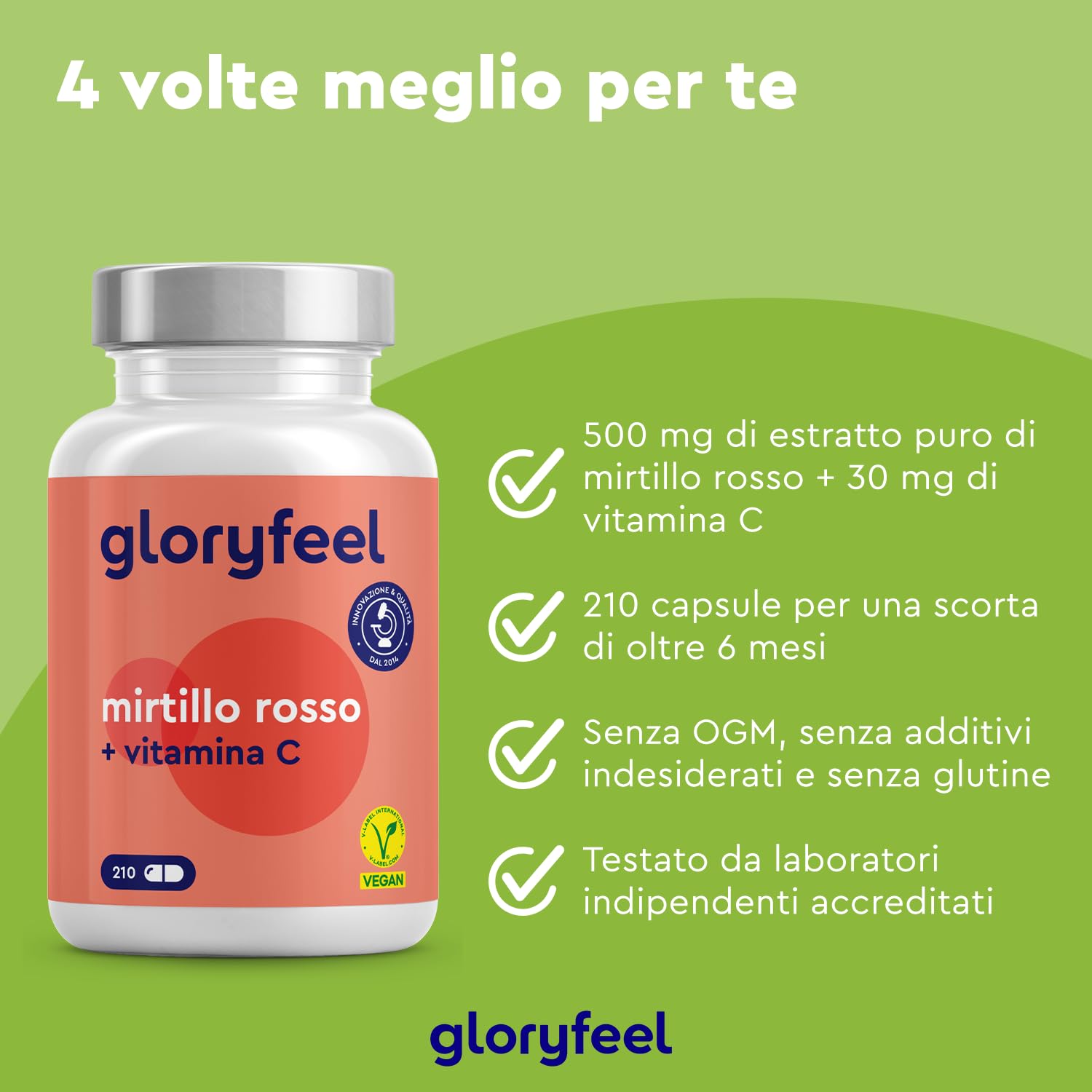 Cranberry Capsule, per il Benessere delle Vie Urinarie, Scorta 7 Mesi, 210 Cranberry Capsule con Estratto di Mirtillo Rosso + Vitamina C, Integratore ad Alto Dosaggio, Vegan