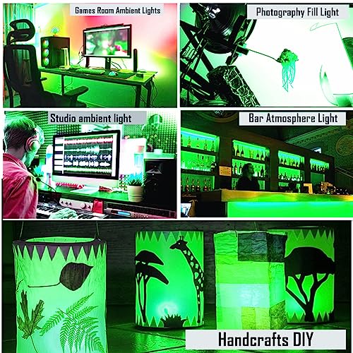 Image of Flexible Led Panel,Electroluminescent Panel Sheet EL Tape Cuttable Soft for Mask Eye Cosplay Party Decor DIY-Continuous /Slow Flash /Fast Strobe 10x10cm (green, 10x10)