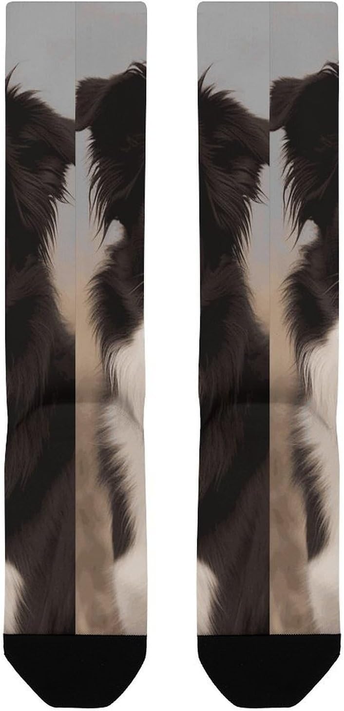Border Collie Knee High Soccer Socks Moisture Wicking