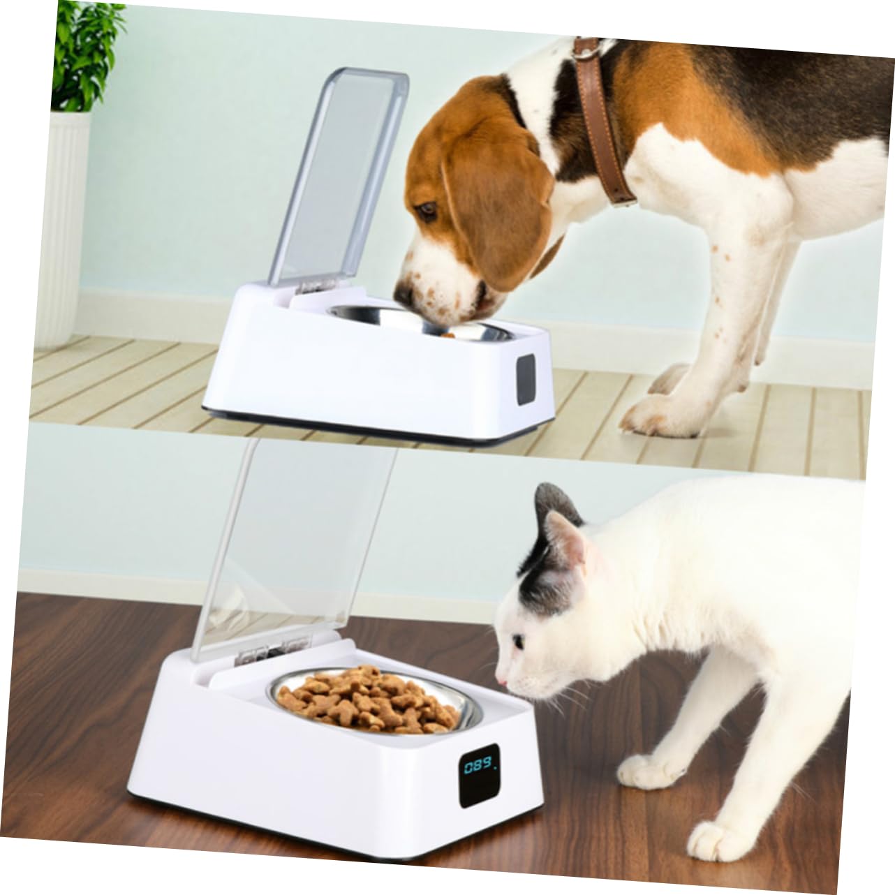 ibasenice Automatischer Induktions Futterspender Tiernahrung Napf Groß Geruchlos rutschfest Für Katze Hund Haustiere
