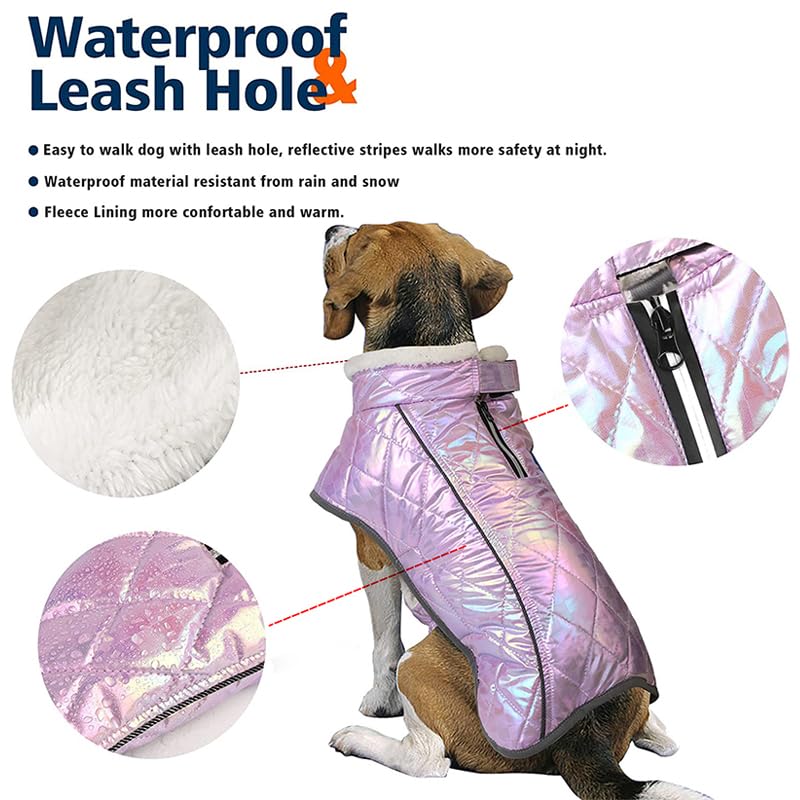 Manteau d'hiver Épais pour Gros Chien,Veste Imperméable pour Animaux De Compagnie,Tenues Réfléchissantes pour Chiens De Taille Moyenne Et Grande,Costume pour Bouledogue du Labrador,Un,2X