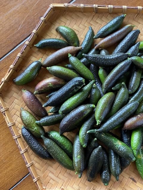 Fresh Naturally grown Finger Limes - 24 count *Free Priority Shipping Included