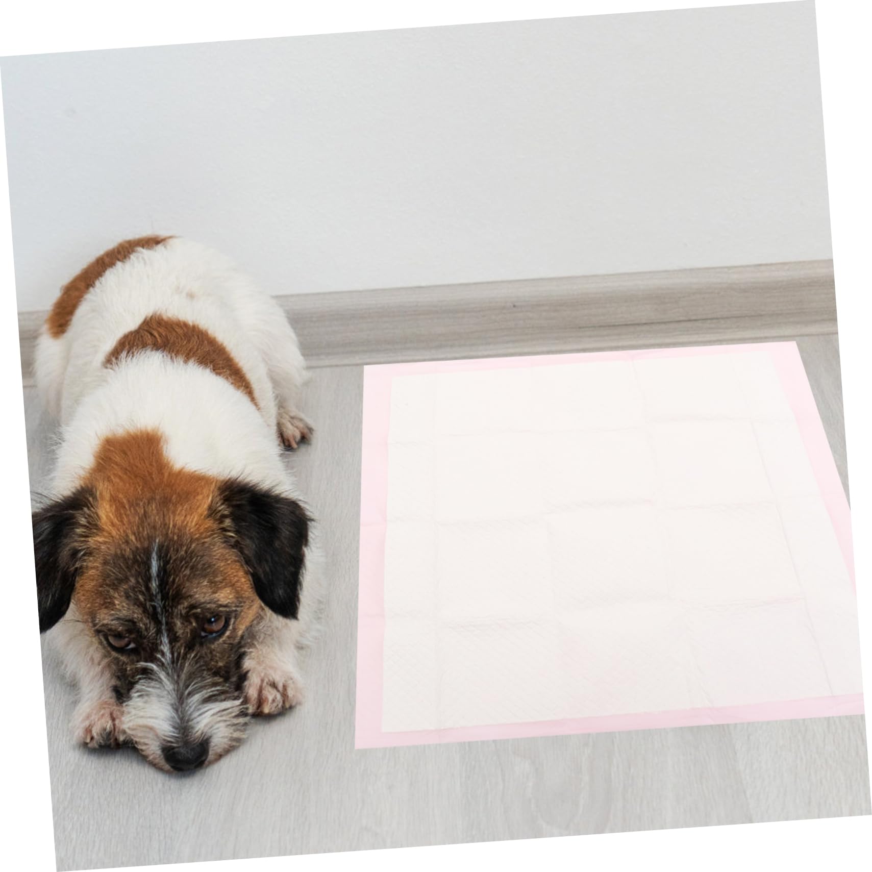 ERINGOGO 40pièces Tapis Absorbants Non-tissé pour Chiens Et Tapis Entraînement pour Animaux De Compagnie Etanche Et Ultra-absorbante De Propreté pour Chiots Et Petits Animaux