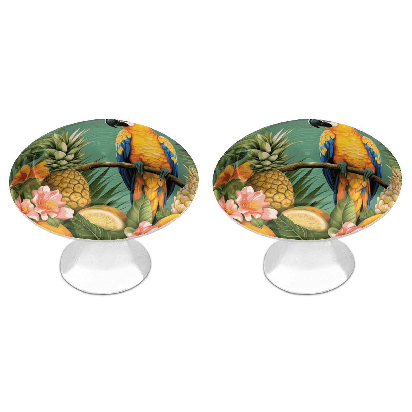 FekiLoot Summer Parrot Pineapple Bird Cabinet Knob 2 Pack Mini Round Drawer Pulls Stainless Steel Dresser Drawer Knobs Kitchen Drawer Hardware for Bathroom Dresser Closet Door Knobs