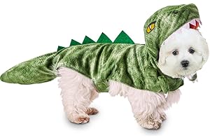 Hilarious Velociraptor Dinosaur Costume for Dogs Unleashes Prehistoric Charm