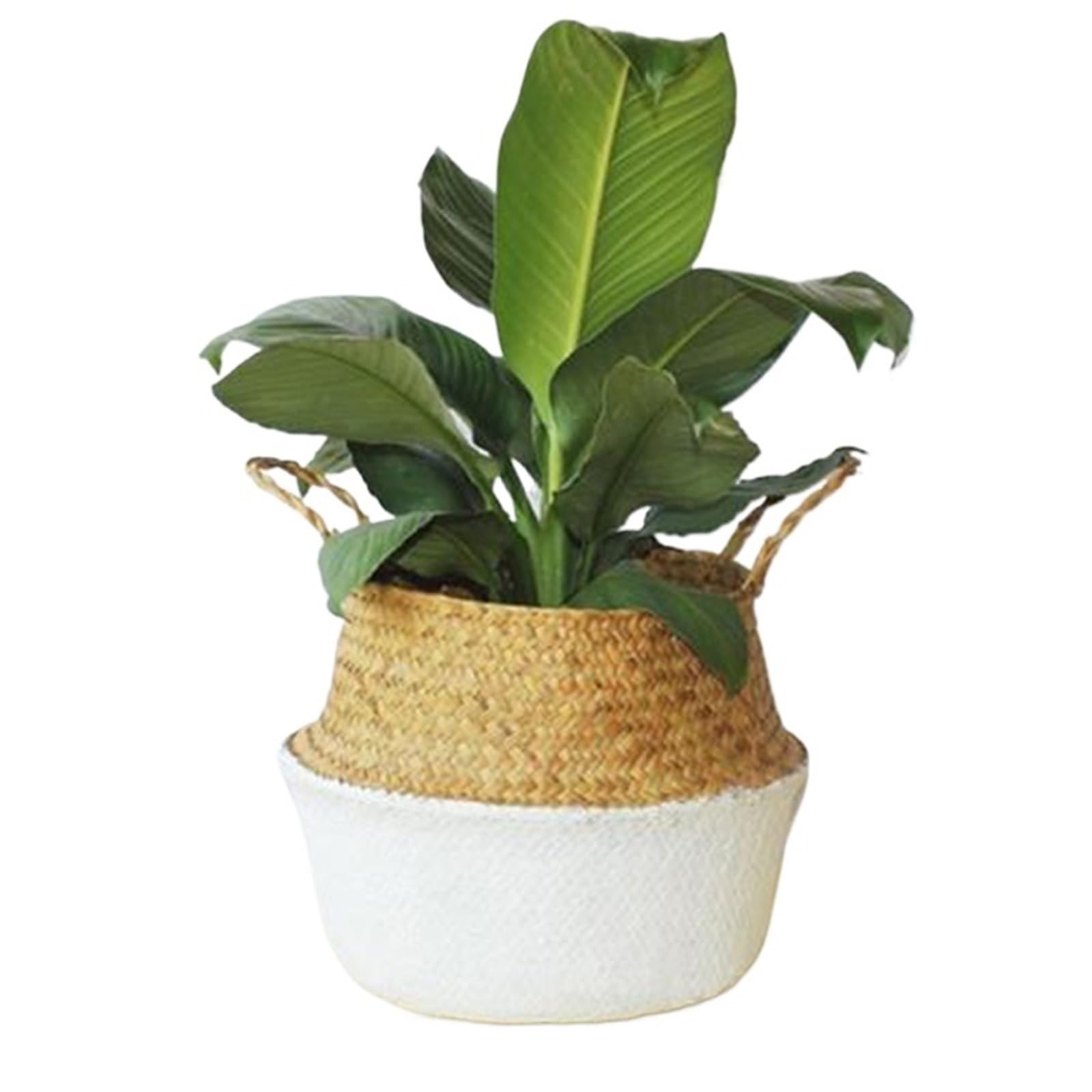DUNSBY Woven Planter 3PCS Foldable Storage Baskets Wicker Rattan Laundry Straw Patchwork Flower Pot Seagrass Belly Garden Planter Basket(Pink)