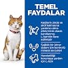 Hill's SCIENCE PLAN Somonlu Kısırlaştırılmış Yetişkin Kedi Maması 3kg