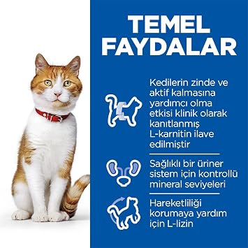 Hill's SP Somon Kısırlaştırılmış Yetişkin Kedi Maması 3KG Avantajlı Paket