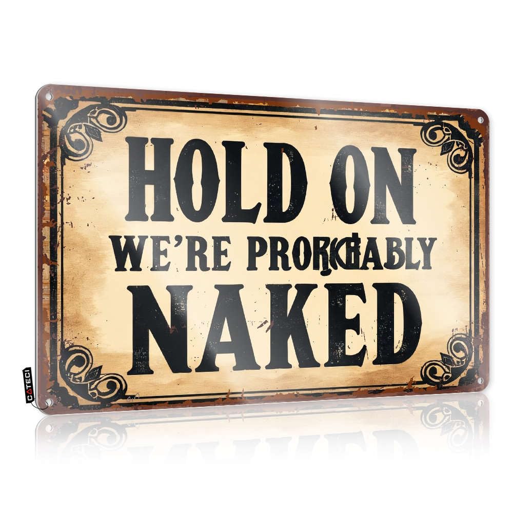 Fzfn Colour Plaques Accessories Aesthetic Hold On We're Probably Naked For Playroom - Stuff For Bedroom Customizable(30X40cm)
