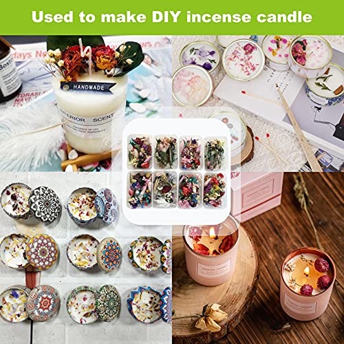 Molde de silicone – Kit de flor seca natural prensado arte artesanal folhas ervas, moldes de fundiçã