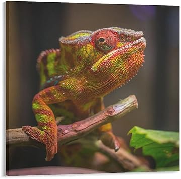 Amazon Co Jp 爬虫類hd写真詳細なポスター プリント キャンバス ポスター モダン ウォールアート 部屋飾り 素晴らしいギフト すぐに掛けられますxinch 50x50cm ホーム キッチン Amazon Co Jp 爬虫類hd写真詳細なポスター プリント キャンバス ポスター モダン ウォールアート 部屋飾り 素晴らしいギフト すぐに掛けられますxinch 50x50cm ホーム キッチン