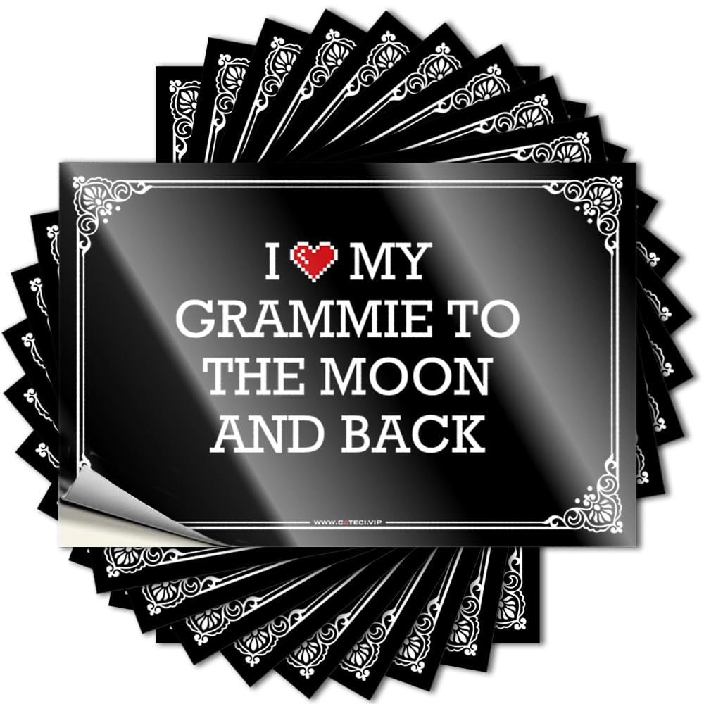 Decals Encouraging Funny Tumbler I Love My Grammie to The Moon and Back - No Residue Decals for Gamer(6X9CM)