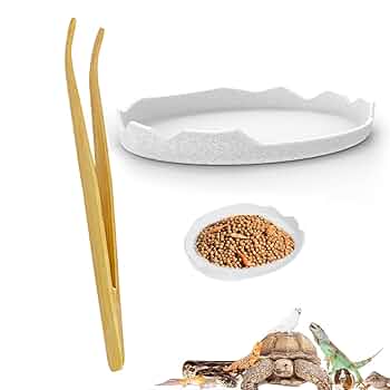 ぽん　爬虫類水入れ　10個セット Amazon | 爬虫類 水入れ 8*8*2cm 爬虫類 餌入れ 樹脂爬虫類水皿