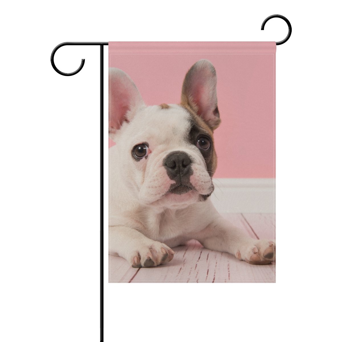 Are French Bulldogs Double Coated