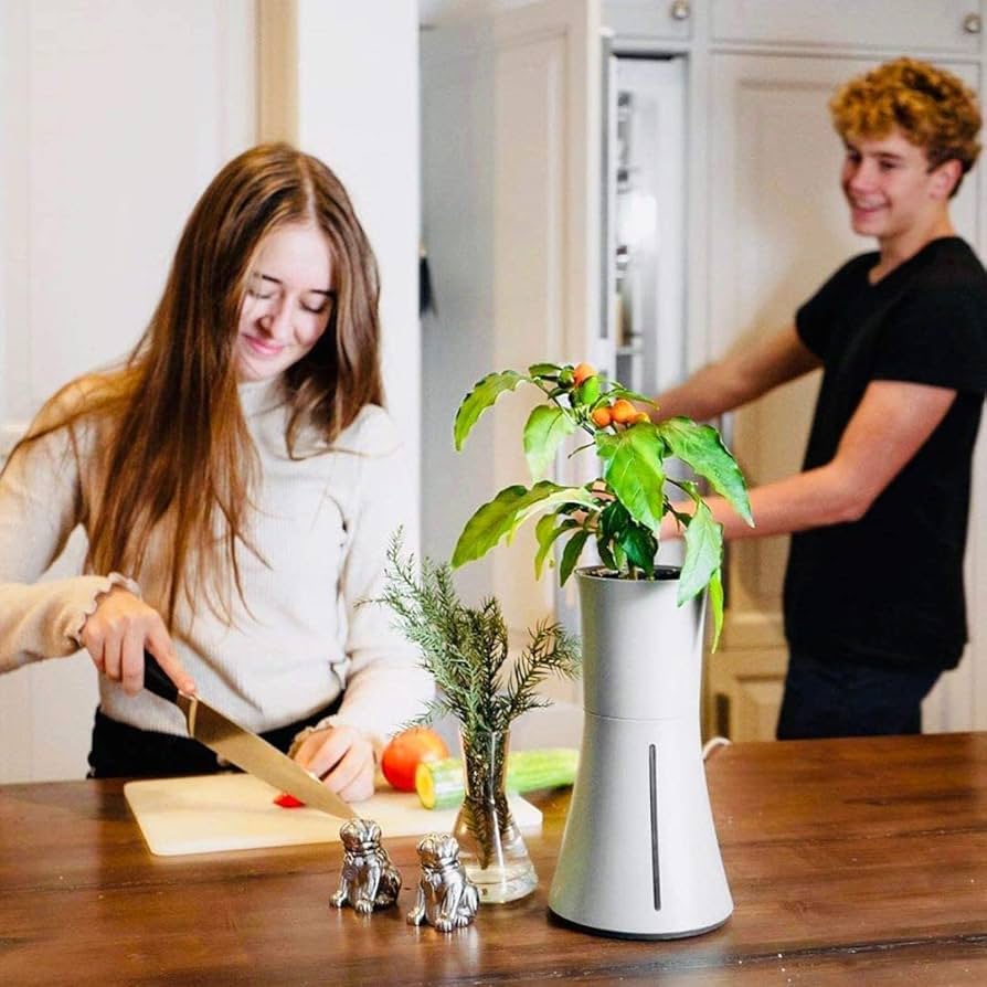 Amazon｜BOTANIUM(ボタニアム) 水耕栽培キット スモークホワイト