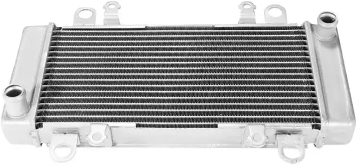 Compatible With Kawasaki Ninja 300 ABS 2013-2017 Motorcycle Accessories Radiator Cooler Cooling