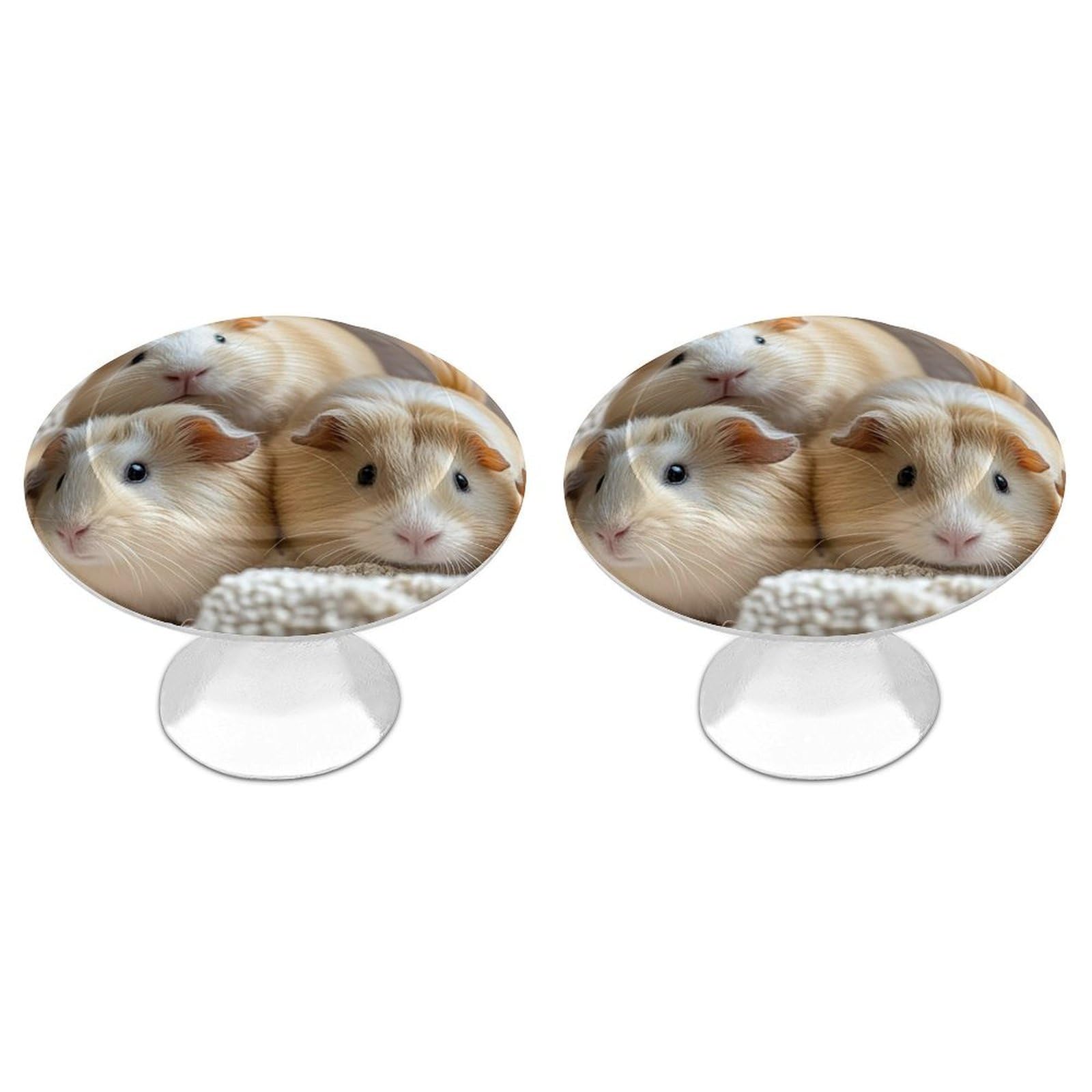 FekiLoot Guinea Pigs Cabinet Knob 2 Pack Mini Round Drawer Pulls Stainless Steel Dresser Drawer Knobs Kitchen Drawer Hardware for Bathroom Dresser Closet Door Knobs