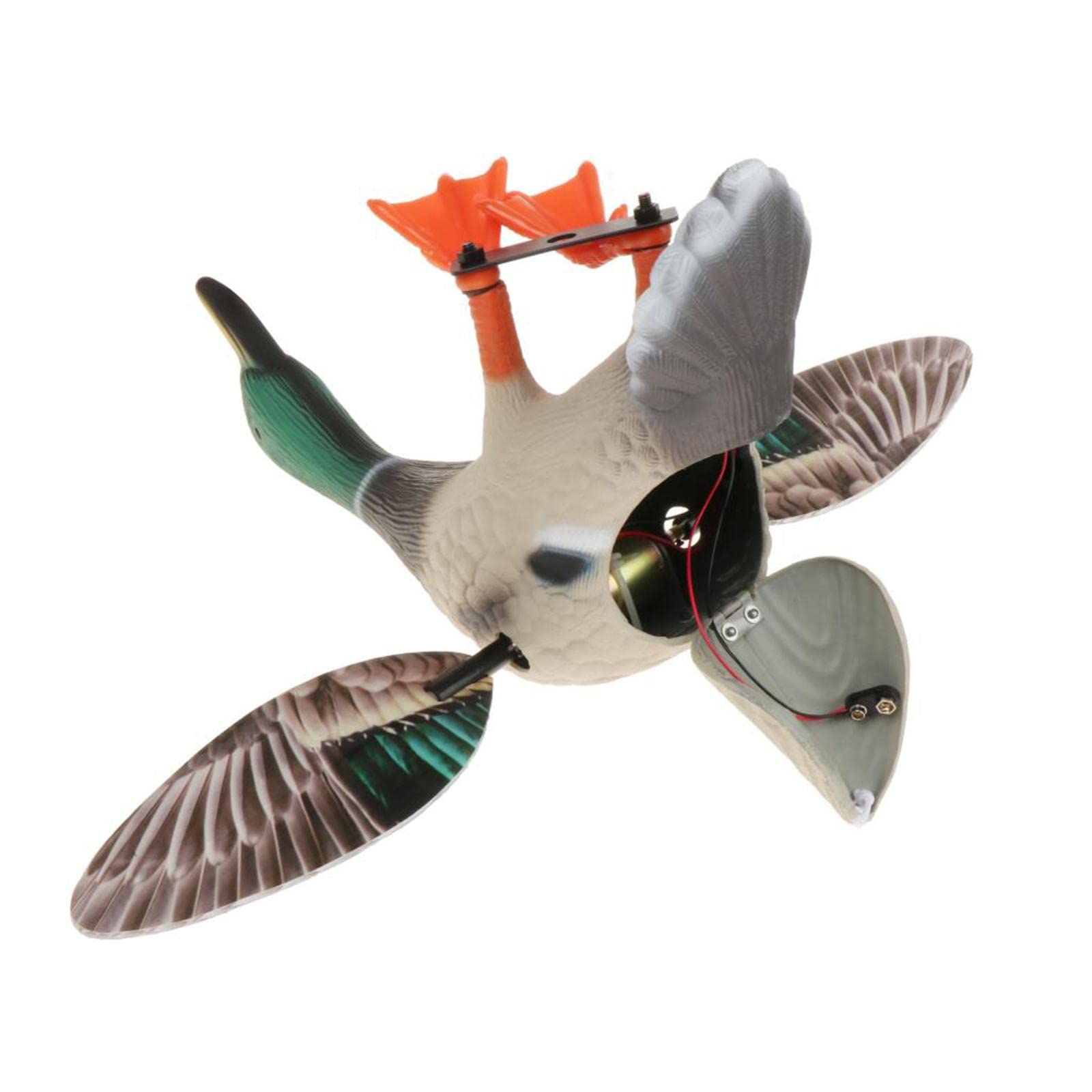 Esca Elettrica per Anatra Mallard con Telecomando