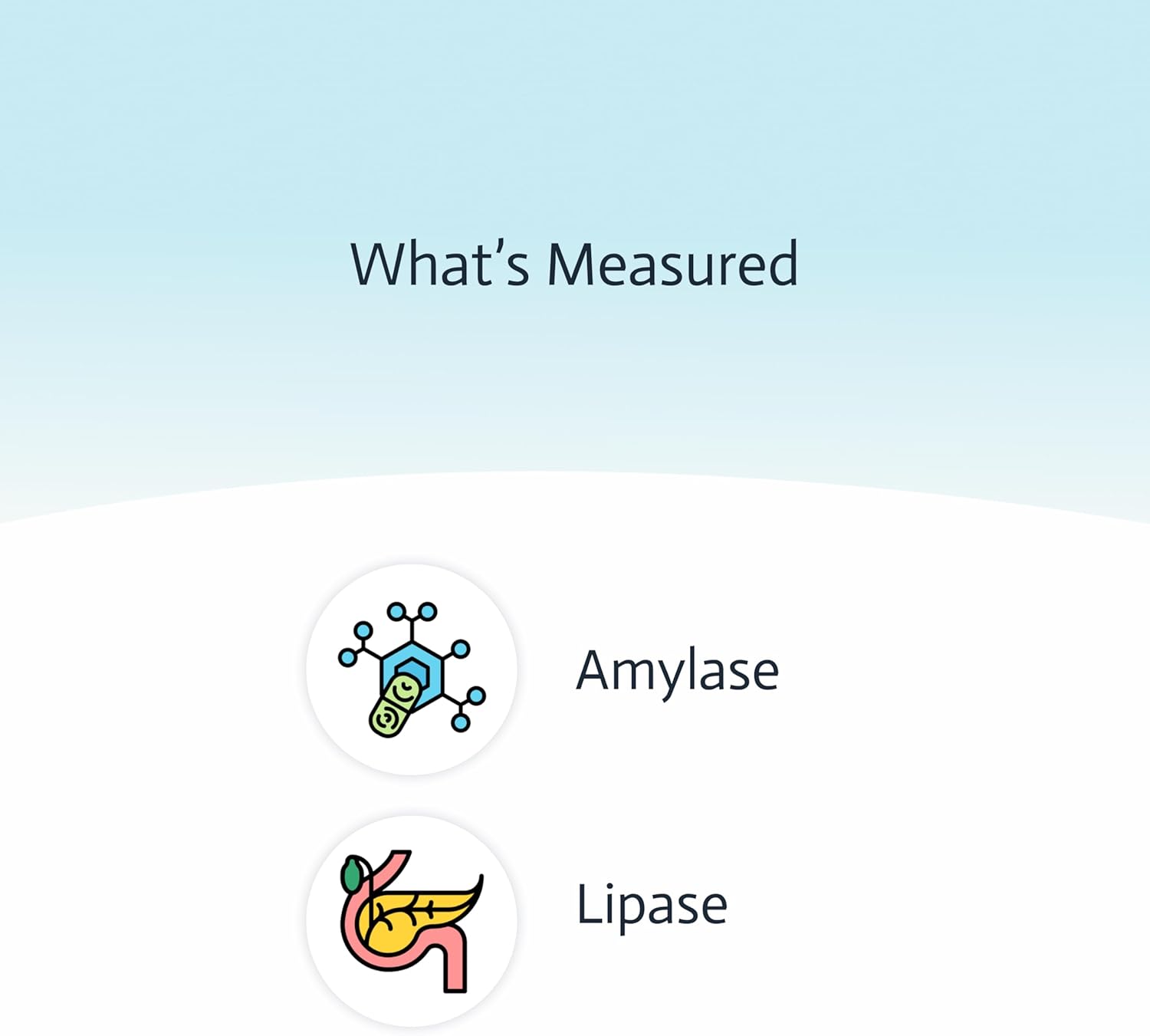Pancreatic Function Test | 2-in-1 at-Home Test | Amylase | Lipase | Cap & CLIA Accredited Testing | Not Testable in NY & RI