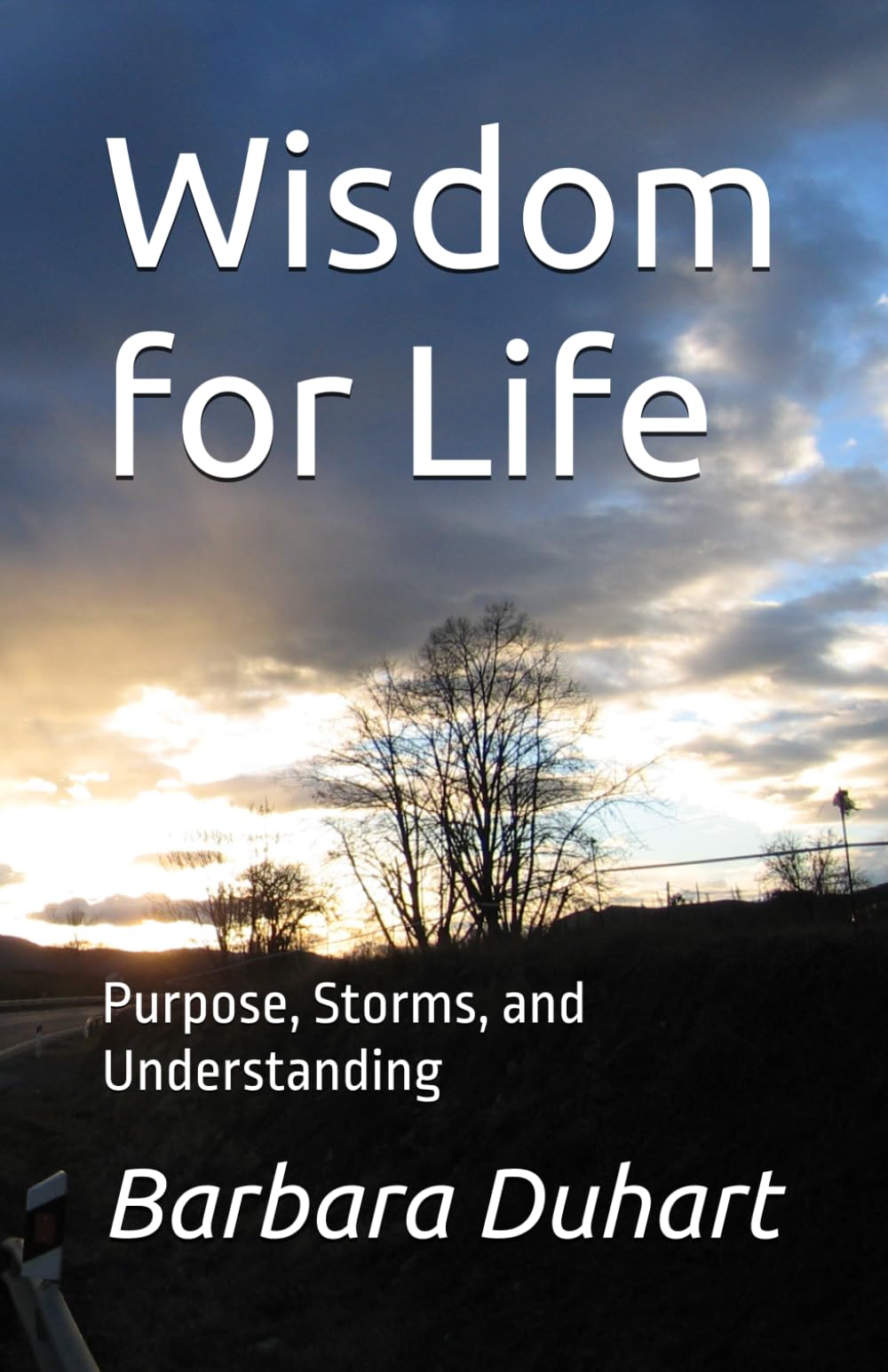Wisdom for Life: Purpose, Storms, and Understanding