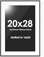 Vista 640 de Fun Memories Portarretratos de metal de 16 x 20 pulgadas con paspartú de 11 x 14 pulgadas, acabado de aluminio cepillado, parte delantera de vidrio